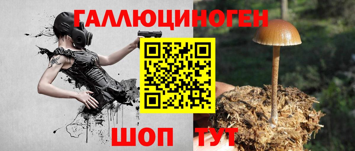 Псилоцибиновые грибы ЛСД Калуга