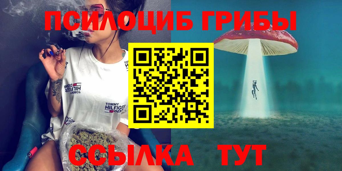 Галлюциногенные грибы Psilocybe  Вход с VPN  Калуга 